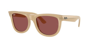 Ray-Ban RBR0502S 678069