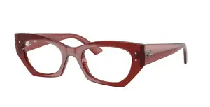 Ray-Ban RX7330 8436