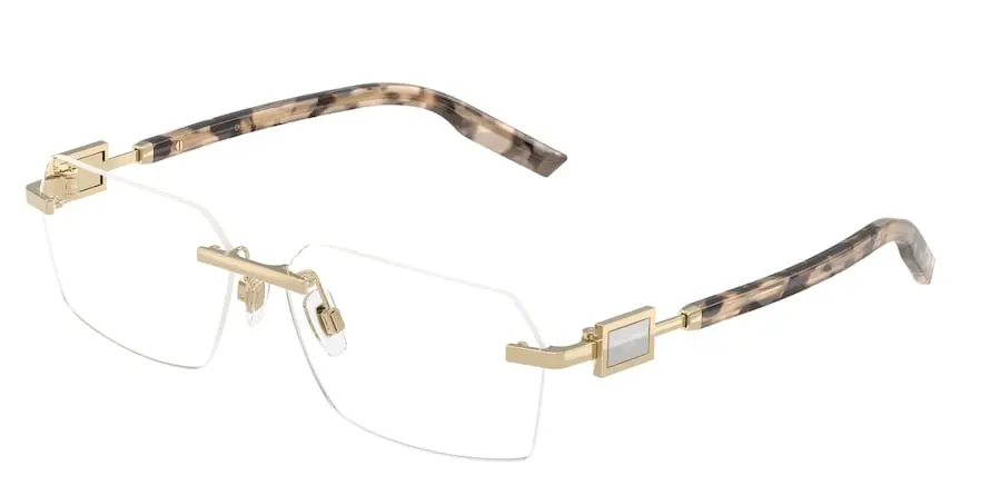 Dolce & Gabbana DG1361  488