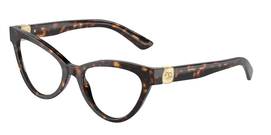 Dolce & Gabbana DG3394  502