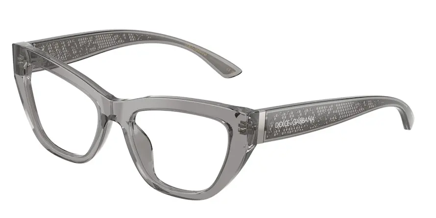 Dolce & Gabbana DG3412  3160