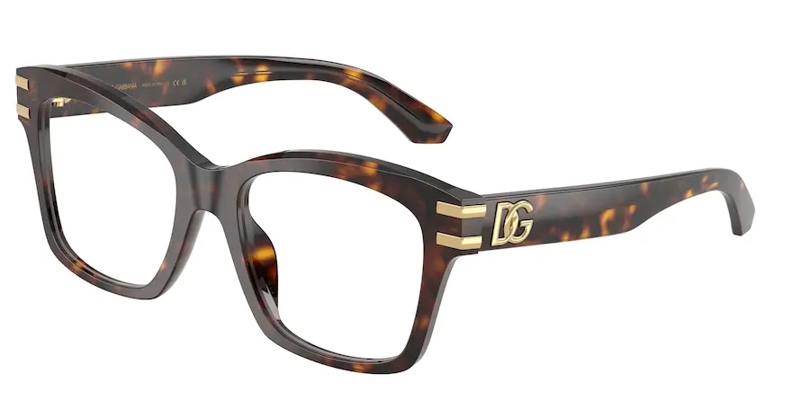 Dolce & Gabbana DG3419  502