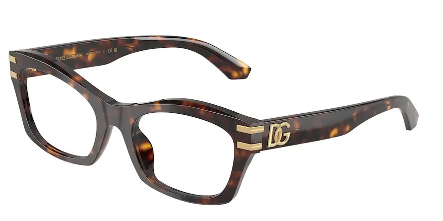 Dolce & Gabbana DG3420  502