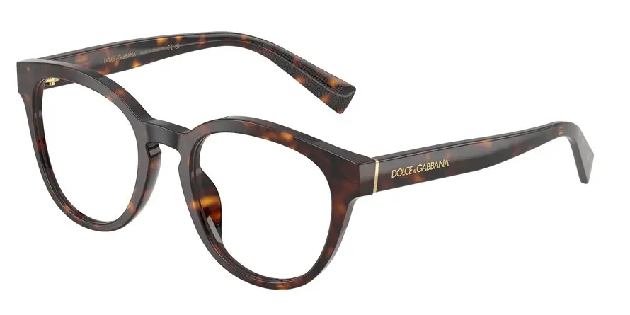 Dolce & Gabbana DG3421  502