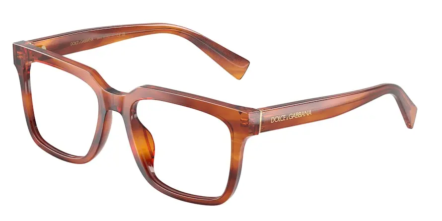 Dolce & Gabbana DG3422  3221