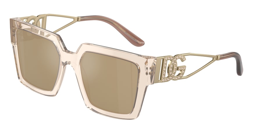 Dolce & Gabbana DG4446B  343203