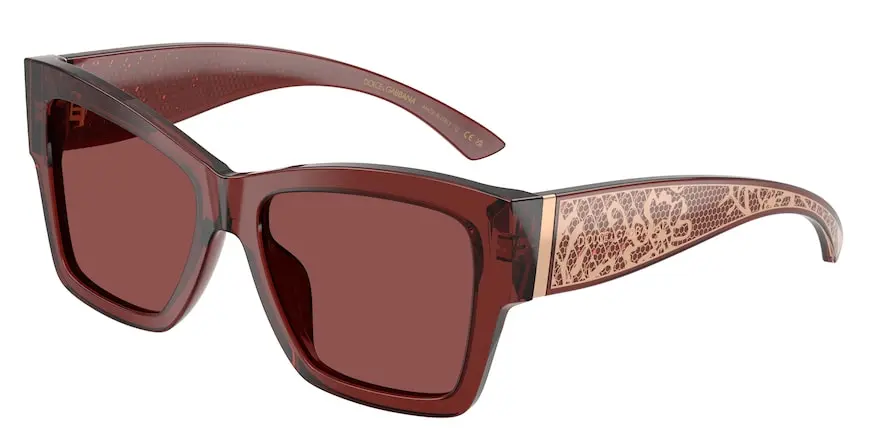 Dolce & Gabbana DG4493  304575