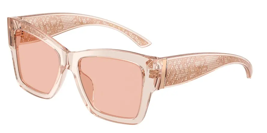 Dolce & Gabbana DG4493  314884