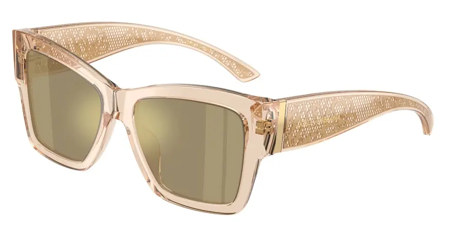 Dolce & Gabbana DG4493  343203