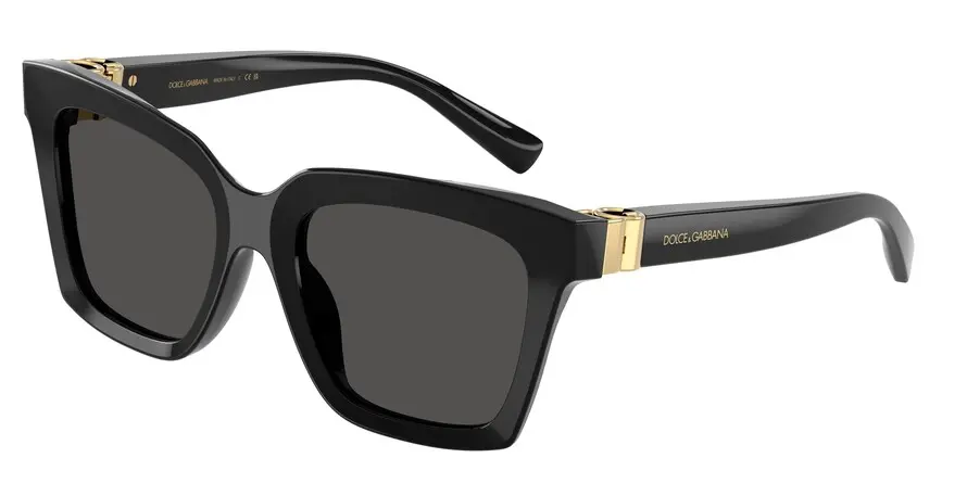 Dolce & Gabbana DG4498  501/87