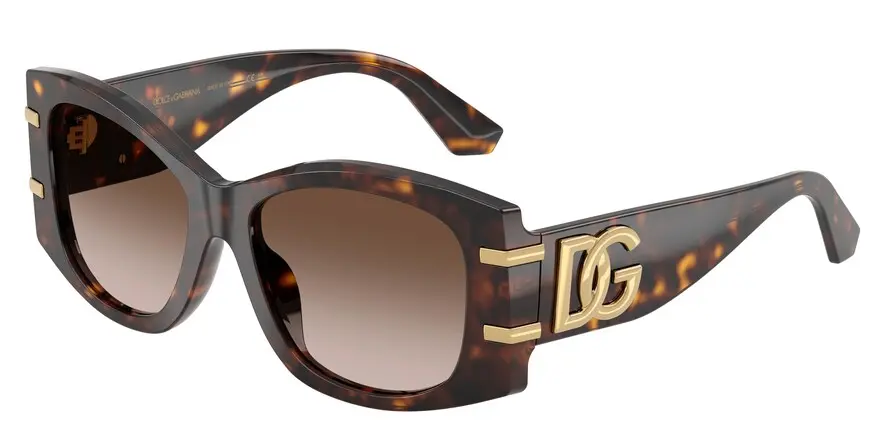 Dolce & Gabbana DG4501  502/13