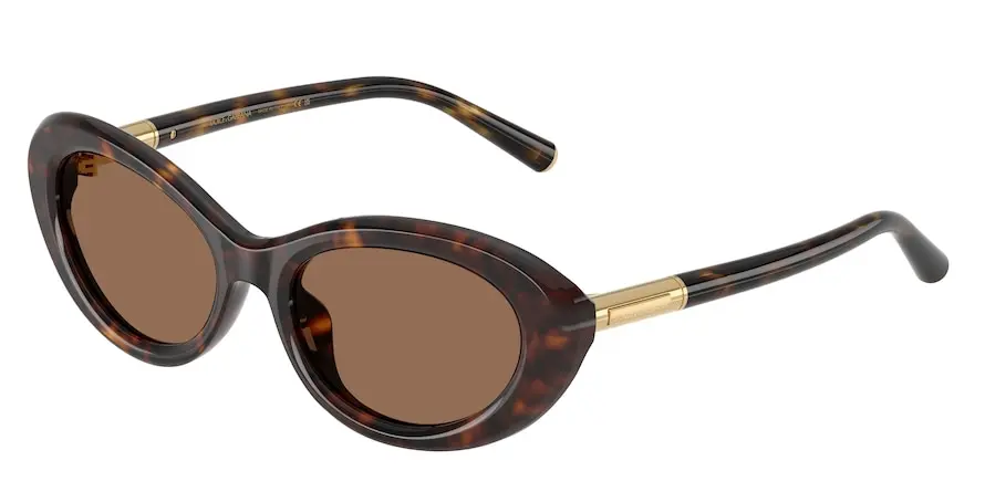 Dolce & Gabbana DG4519  502/73