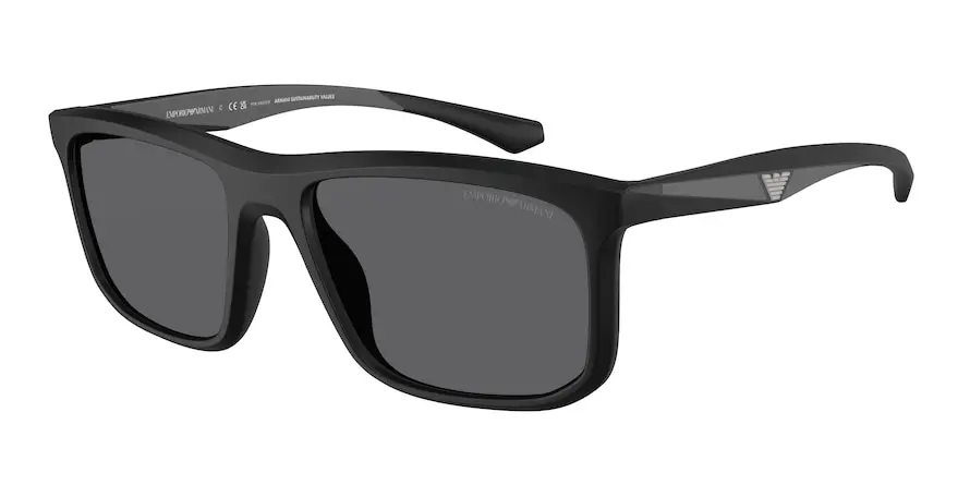 Emporio Armani EA4234U  5001T3