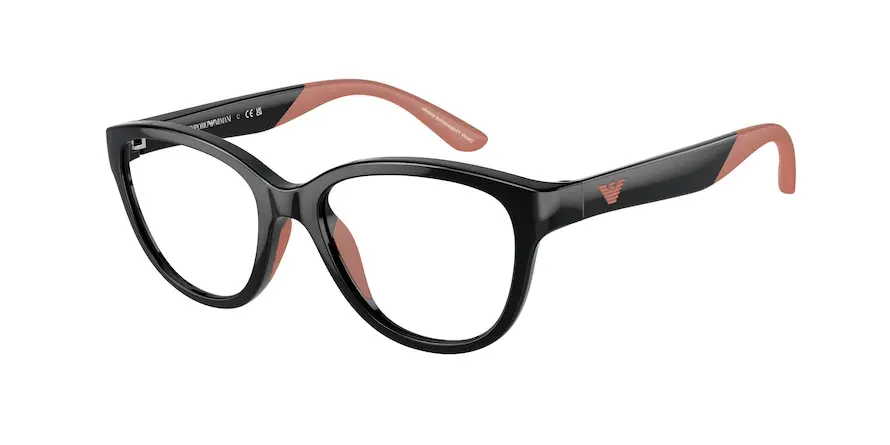 Emporio Armani EK3002  5017