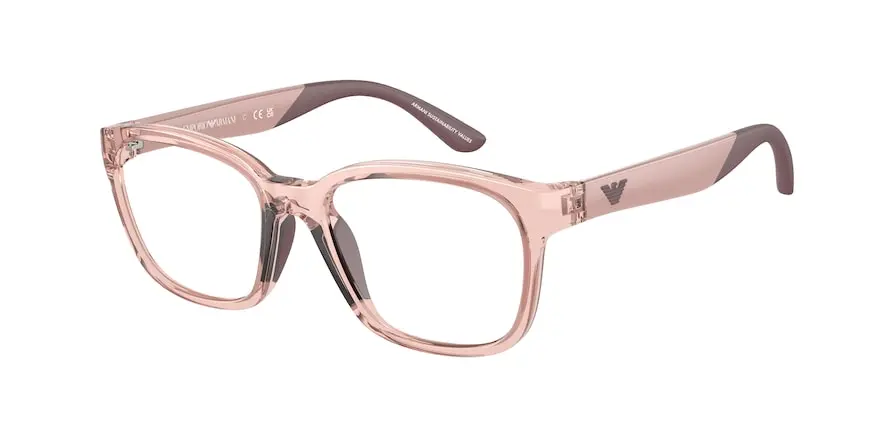 Emporio Armani EK3003  5544