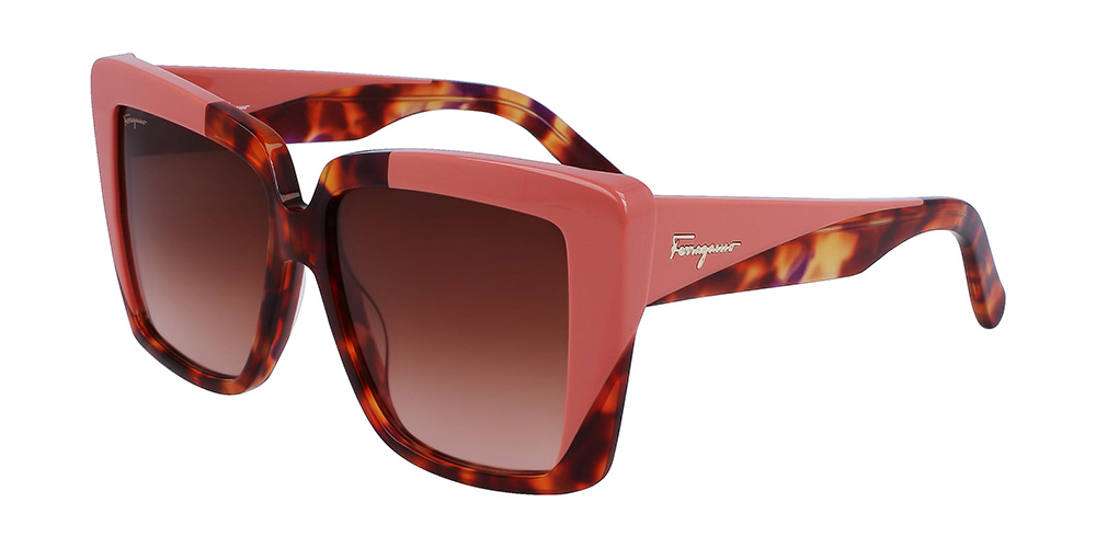 Ferragamo SF1060S  641