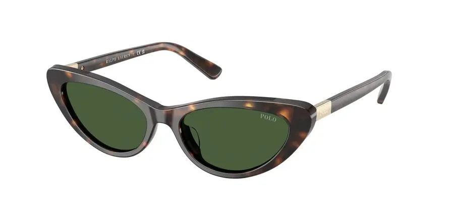Polo Ralph Lauren PH4199U  500371