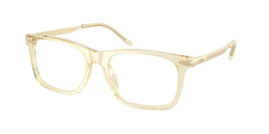 Ralph Lauren RL6253U  5034