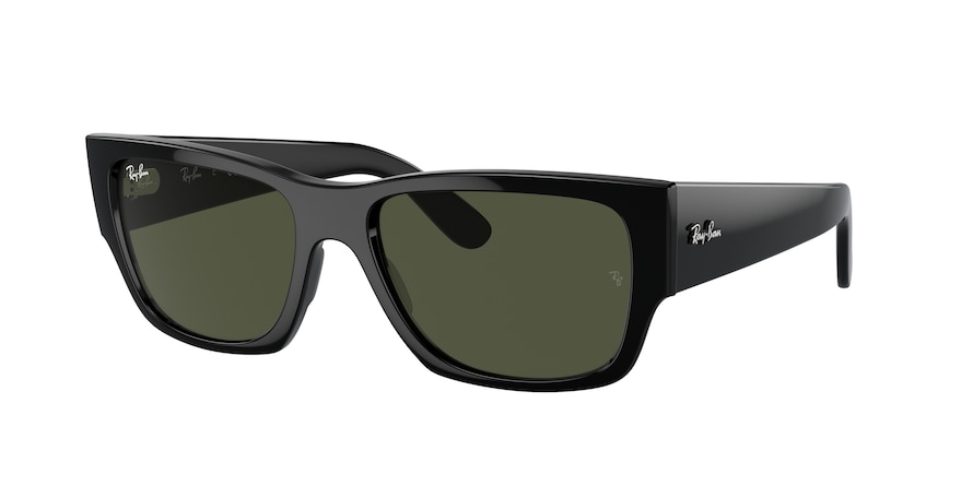 Ray-Ban RB0947S CARLOS 901/31