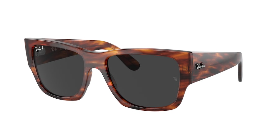 Ray-Ban RB0947S CARLOS 954/48