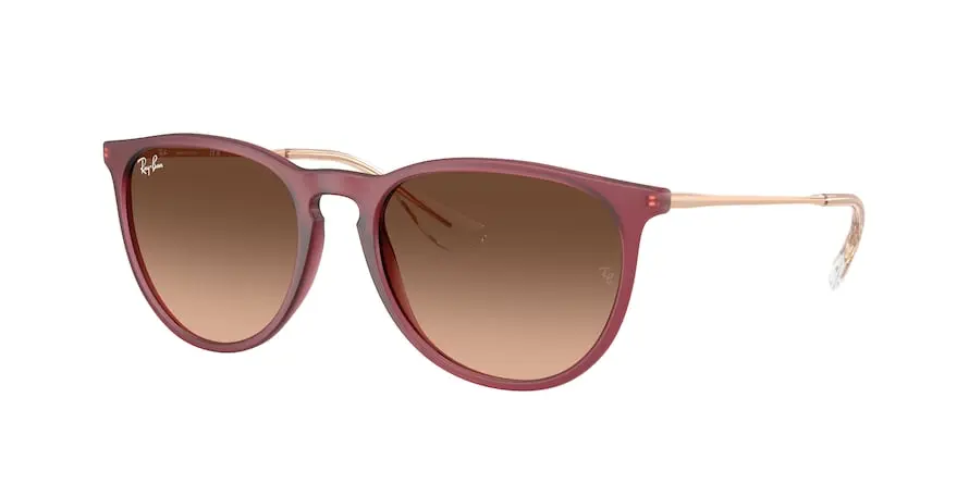 Ray-Ban RB4171 ERIKA 6815A5