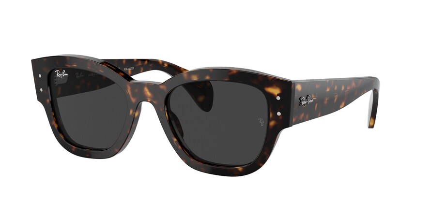 Ray-Ban RB7681S JORGE 902/48