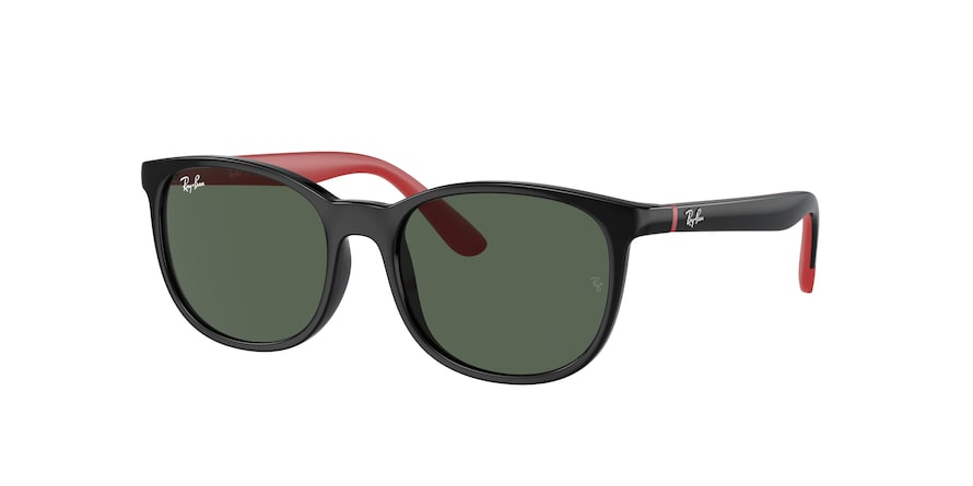 Ray-Ban Junior RJ9079S  713171