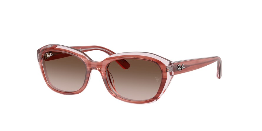 Ray-Ban Junior RJ9081S  717313