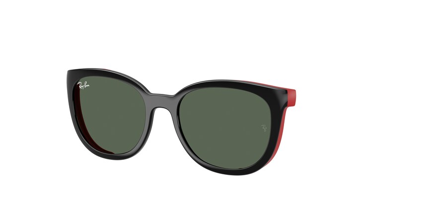 Ray-Ban Junior RY1631C  392871