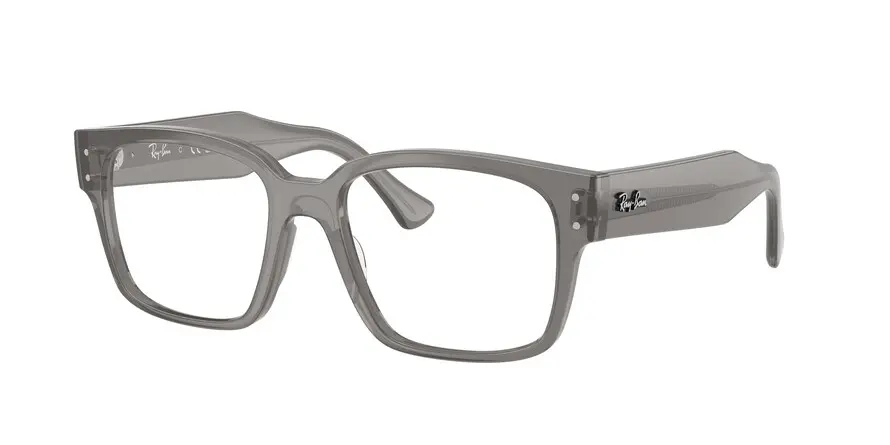 Ray-Ban RX7256 LAURENE 8431