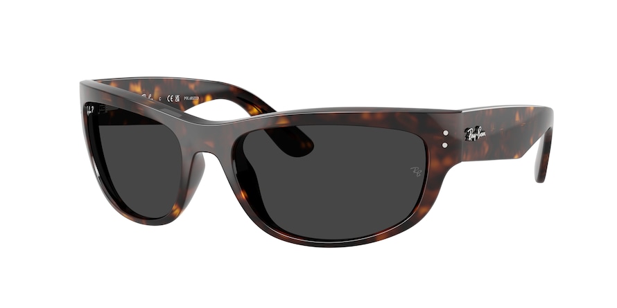 Ray-Ban RB2289 MEGA BALORAMA 902/48