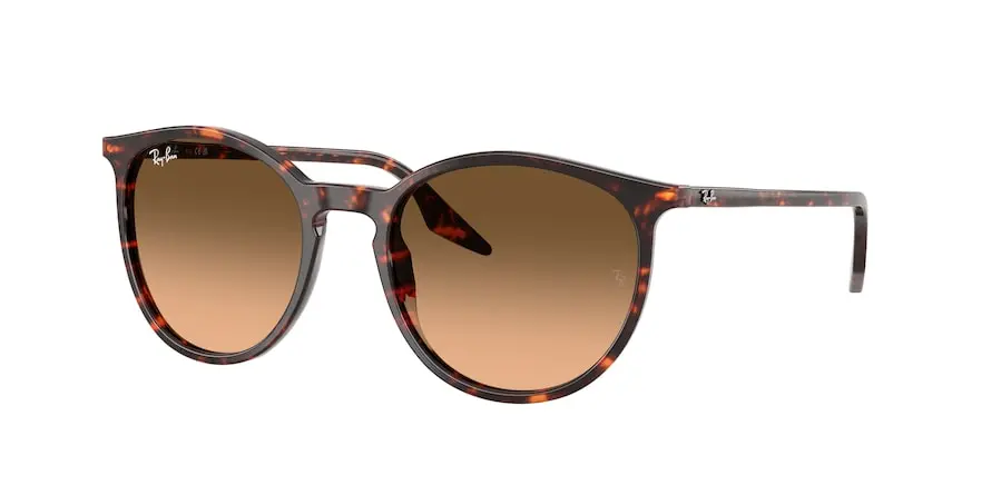 Ray-Ban RB2204  14293B