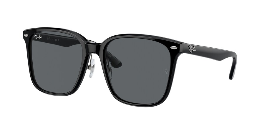 Ray-Ban RB2206D  901/87