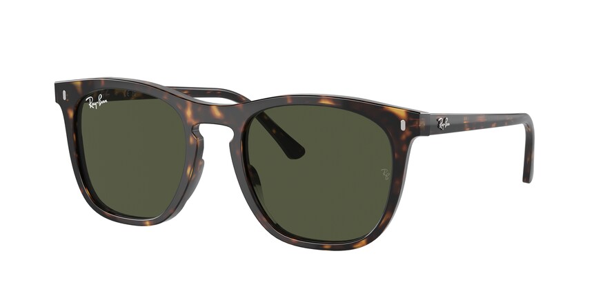 Ray-Ban RB2210  902/31