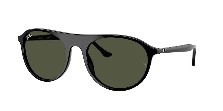 Ray-Ban RB2215  901/31