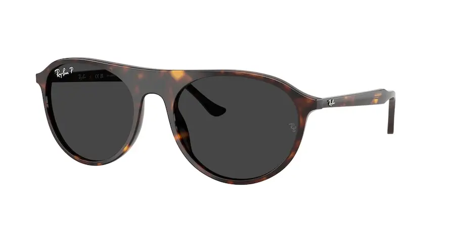 Ray-Ban RB2215  902/48
