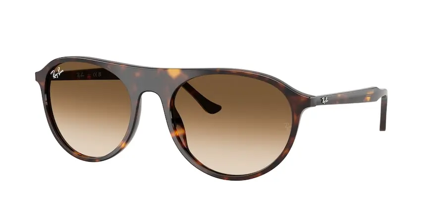 Ray-Ban RB2215  902/51