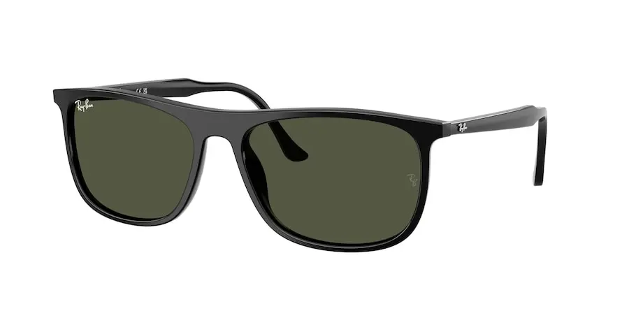 Ray-Ban RB2216  901/31