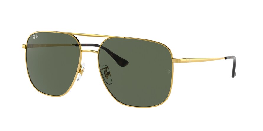 Ray-Ban RB3679D  001/71