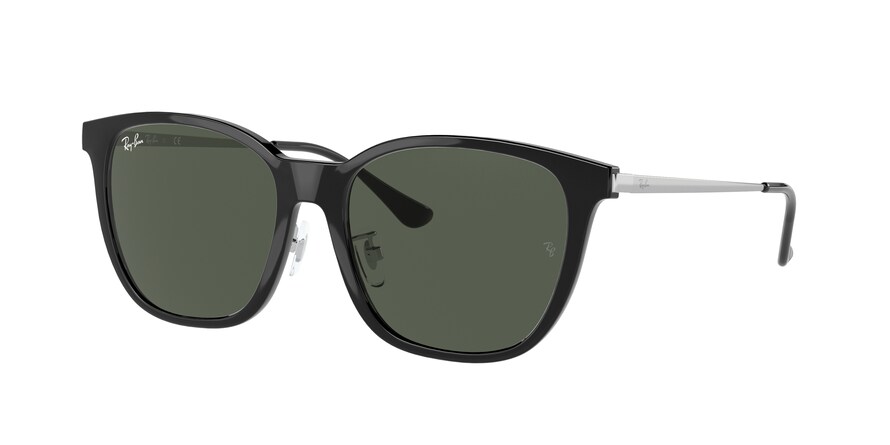 Ray-Ban RB4333D  629271