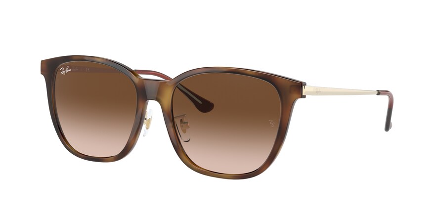 Ray-Ban RB4333D  710/13