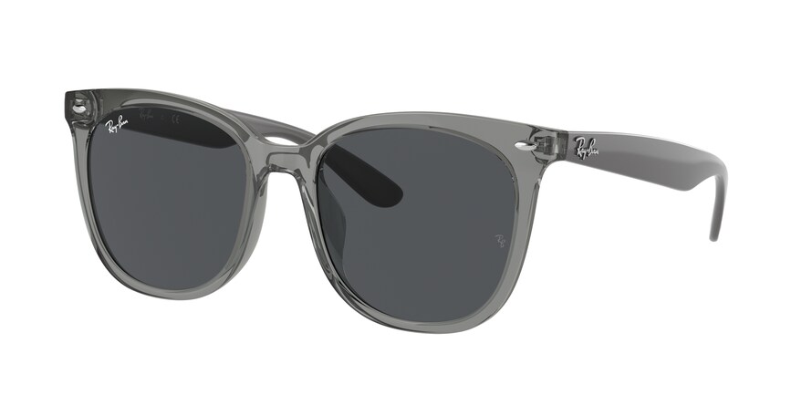 Ray-Ban RB4379D  659987