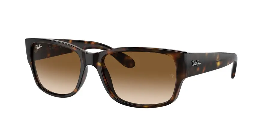 Ray-Ban RB4388  710/51