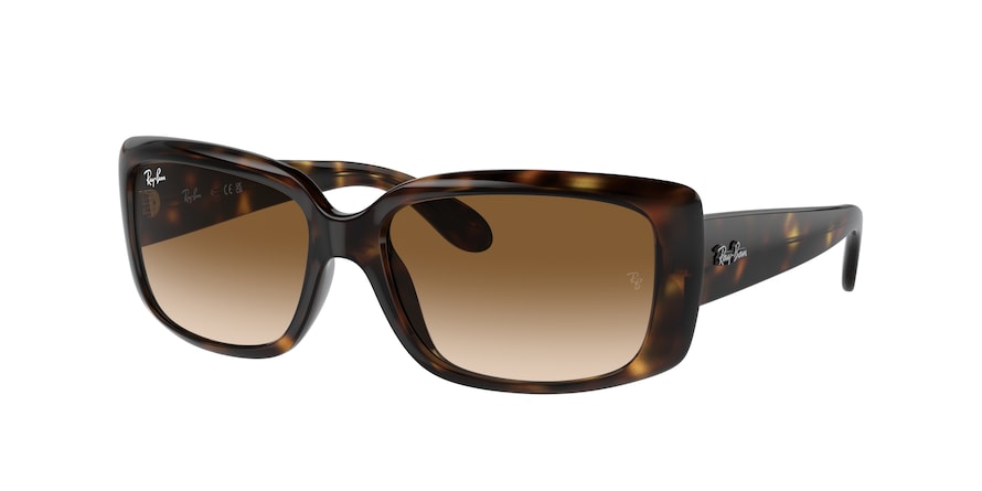 Ray-Ban RB4389  710/51