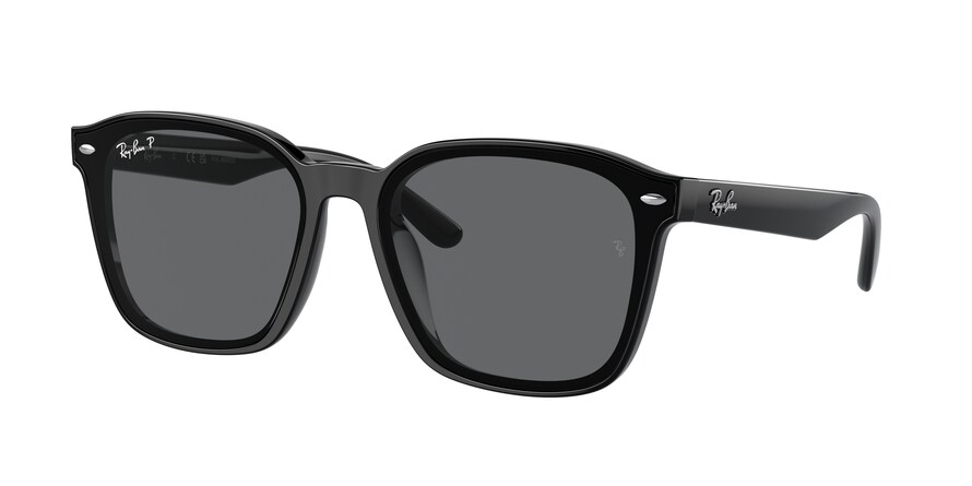 Ray-Ban RB4392D  601/81