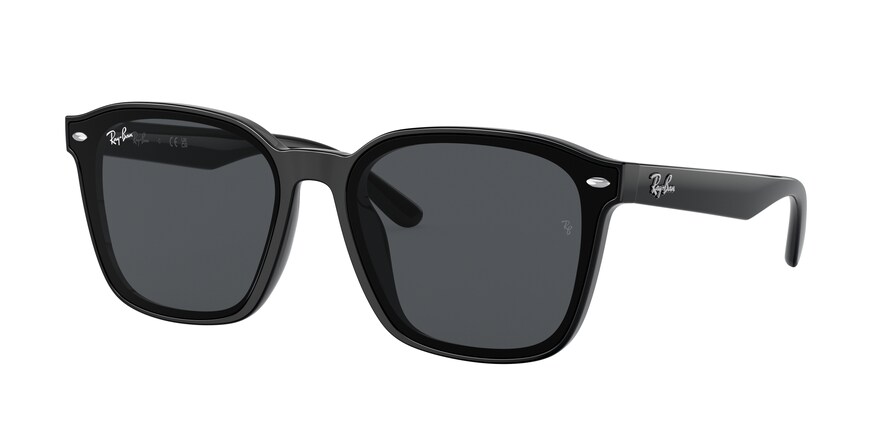 Ray-Ban RB4392D  601/87