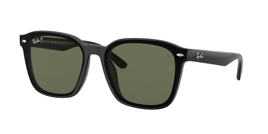 Ray-Ban RB4392D  601/9A