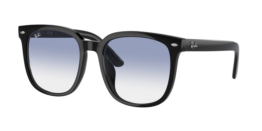 Ray-Ban RB4401D  601/19