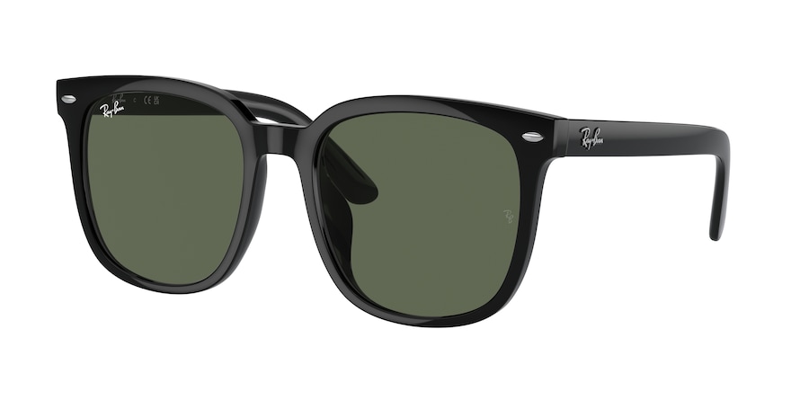 Ray-Ban RB4401D  601/71