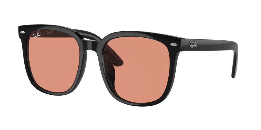 Ray-Ban RB4401D  601/74